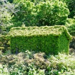 小樽の家