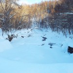 %e5%86%ac%e3%81%ae%e5%b8%b8%e7%a3%90