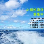 海洋散骨30年募集