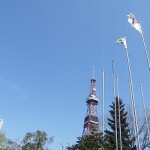 札幌市役所からテレビ塔